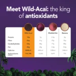 Amazonian Wild-Acai - Image 4