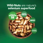 Amazonian Wild-Nuts - Image 5